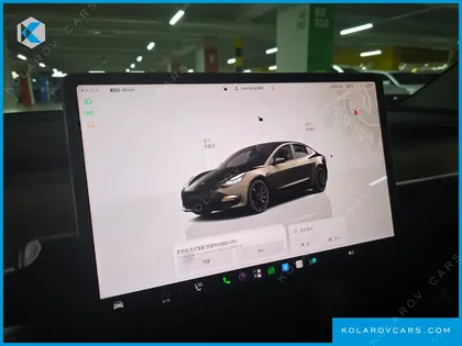 TESLA MODEL 3 PERFORMANCE AWD