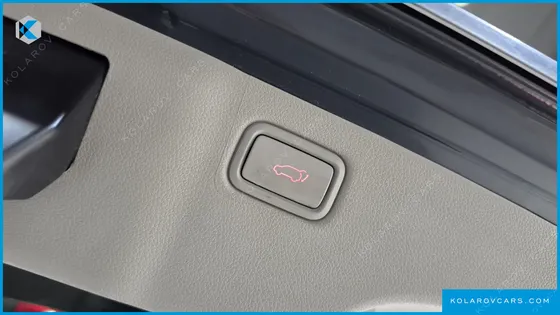 KIA CARNIVAL 9-SEATER NOBLESSE SPECIAL
