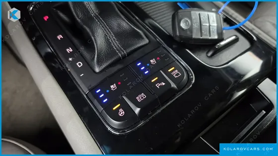 KIA CARNIVAL 9-SEATER NOBLESSE SPECIAL