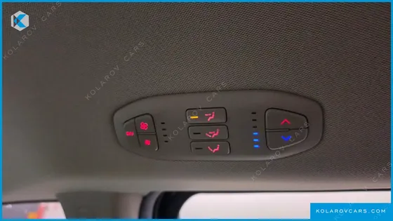 KIA CARNIVAL 9-SEATER LUXURY