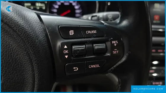 KIA CARNIVAL 9-SEATER NOBLESSE