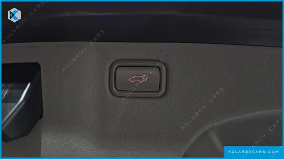 KIA CARNIVAL GASOLINE 7-SEATER LIMOUSINE