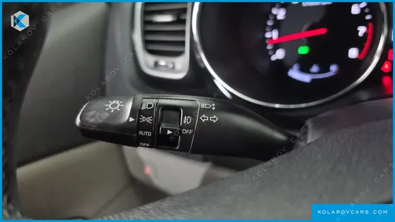 KIA CARNIVAL GASOLINE 7-SEATER LIMOUSINE