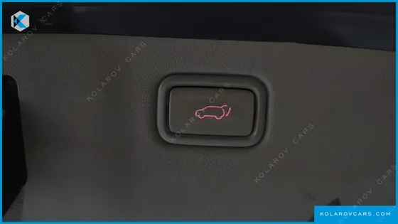 KIA CARNIVAL 7-SEATER LIMOUSINE