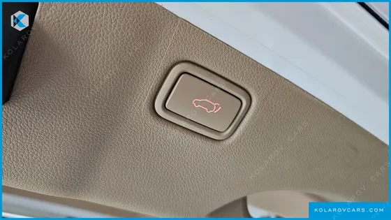 KIA CARNIVAL 9-SEATER NOBLESSE