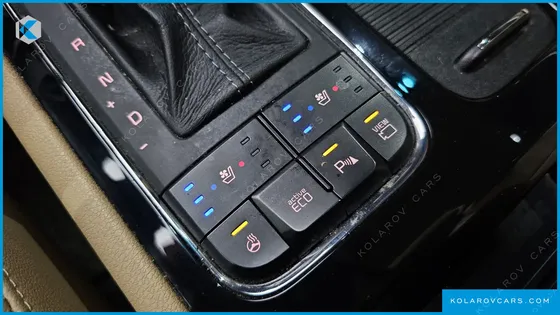 KIA CARNIVAL 9-SEATER NOBLESSE