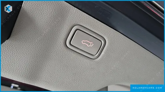 KIA CARNIVAL 9-SEATER NOBLESSE