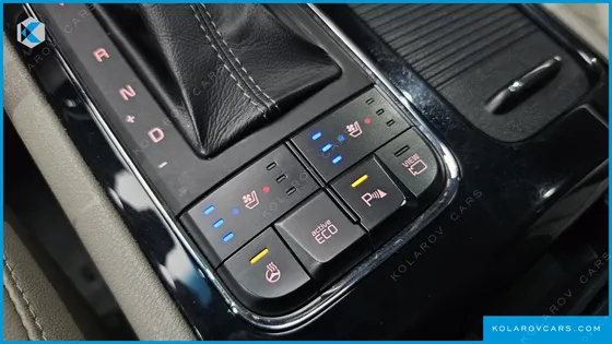 KIA CARNIVAL 9-SEATER NOBLESSE