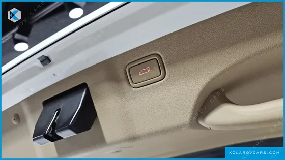 KIA CARNIVAL GASOLINE 9-SEATER NOBLESSE