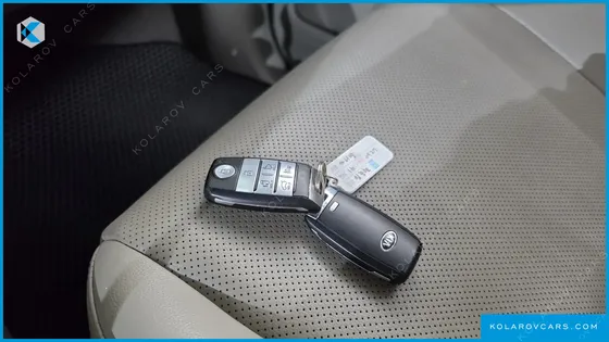 KIA CARNIVAL 9-SEATER LUXURY