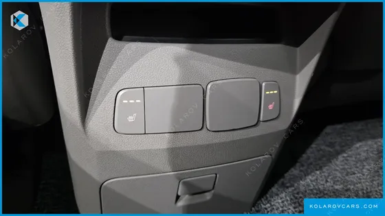 KIA CARNIVAL 9-SEATER LUXURY