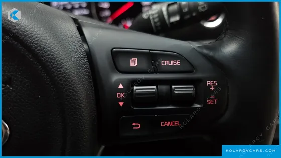 KIA CARNIVAL 9-SEATER LUXURY