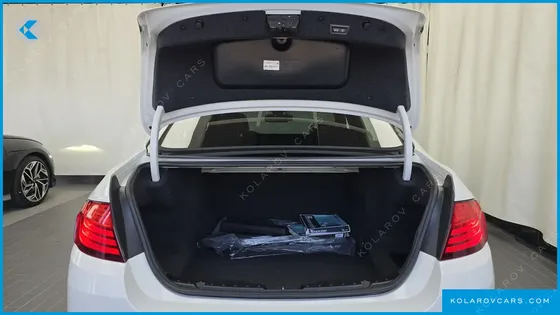 BMW 5 SERIES 520D LUXURY