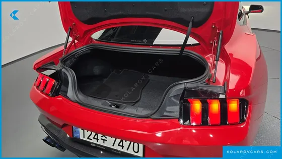 FORD MUSTANG 5.0 GT PREMIUM COUPE