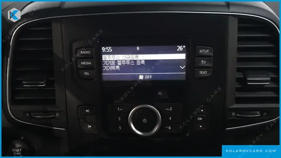 RENAULT KOREA QM6 (KOLEOS) GASOLINE 2WD LE