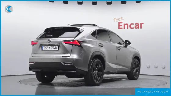 LEXUS NX EXECUTIVE