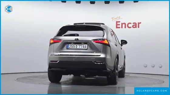 LEXUS NX EXECUTIVE