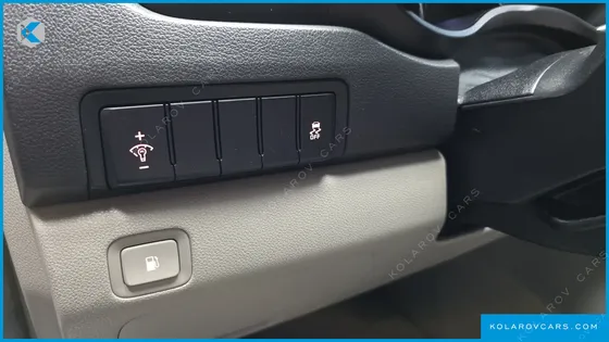 KIA CARNIVAL 9-SEATER LUXURY