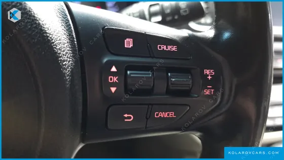 KIA CARNIVAL 9-SEATER LUXURY