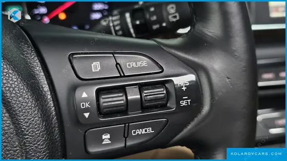 KIA CARNIVAL 9-SEATER NOBLESSE SPECIAL