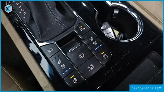 KIA CARNIVAL 9-SEATER NOBLESSE SPECIAL