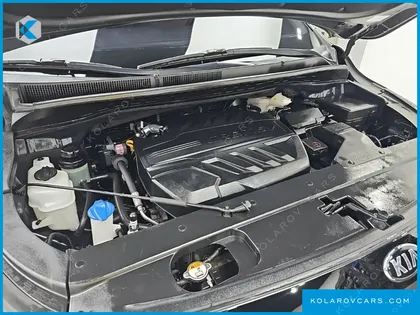 KIA CARNIVAL 9-SEATER LUXURY
