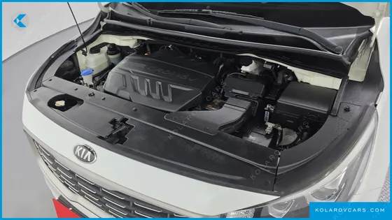 KIA CARNIVAL 7-SEATER LIMOUSINE