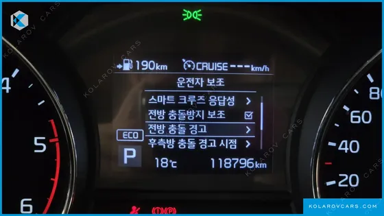 KIA CARNIVAL 9-SEATER NOBLESSE SPECIAL