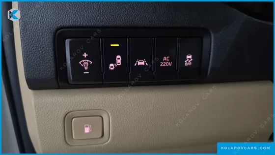 KIA CARNIVAL 9-SEATER NOBLESSE SPECIAL