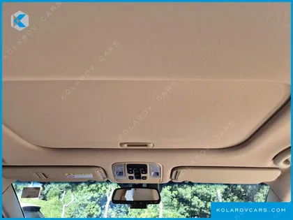 KIA CARNIVAL 9-SEATER NOBLESSE SPECIAL