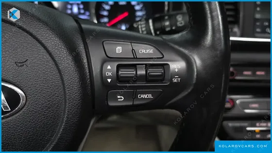 KIA CARNIVAL 9-SEATER LUXURY