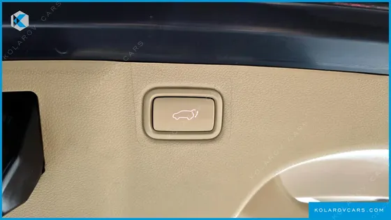 KIA CARNIVAL GASOLINE 7-SEATER LIMOUSINE