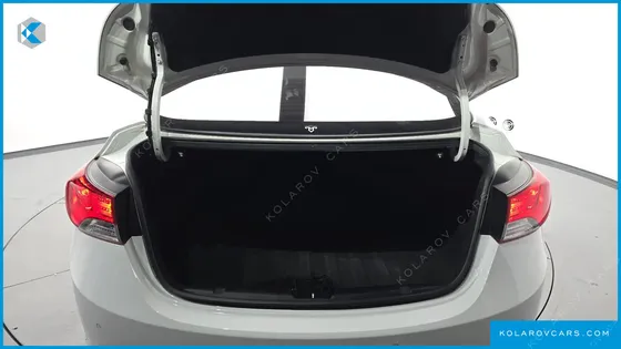 HYUNDAI ELANTRA (AVANTE) 2.0 GDI PREMIUM
