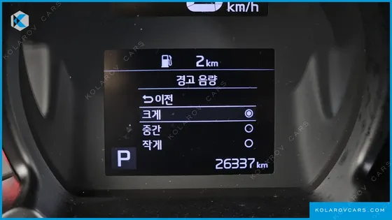 KIA RAY SIGNATURE
