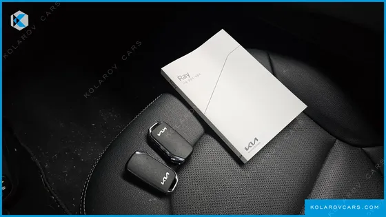 KIA RAY SIGNATURE