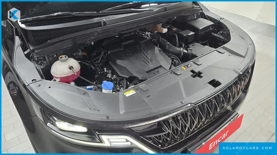 KIA CARNIVAL GASOLINE 9-SEATER SIGNATURE