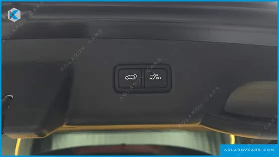 KIA CARNIVAL GASOLINE 9-SEATER SIGNATURE