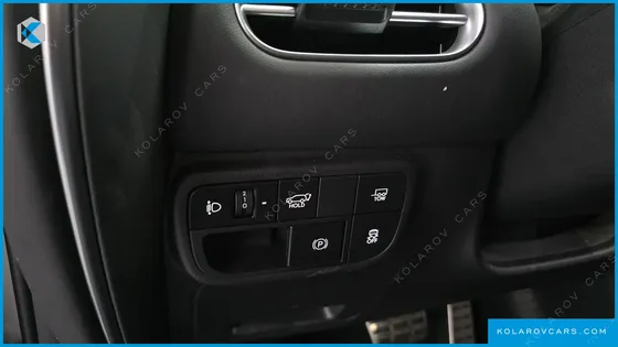 HYUNDAI PALISADE HEV 2.5T 2WD 9-SEATER