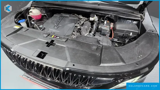 KIA CARNIVAL GASOLINE 9-SEATER LIMOUSINE(SPECIAL VEHICLE)