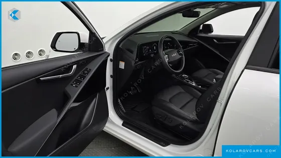 KIA NIRO EARTH