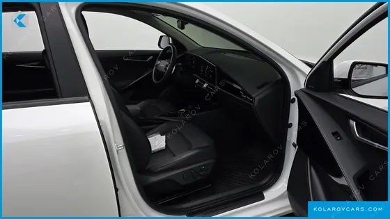 KIA NIRO EARTH