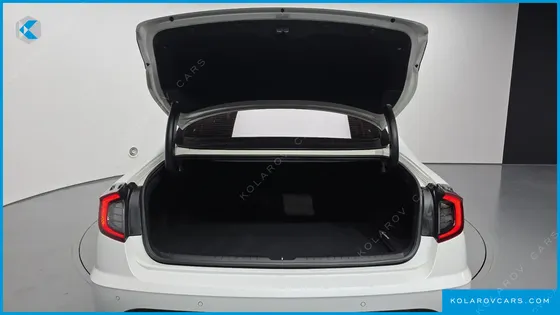 HYUNDAI SONATA 2.0 LPG(RENTAL CAR)