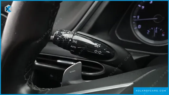 HYUNDAI SONATA 2.0 LPG(RENTAL CAR)
