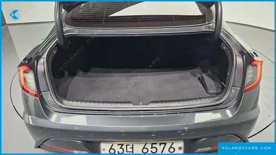 HYUNDAI SONATA 2.0 LPG(DISABLED PERSON)