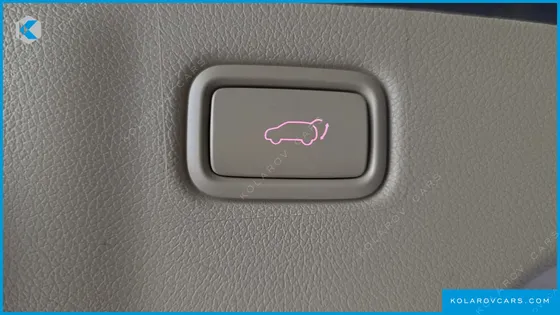 KIA CARNIVAL 9-SEATER NOBLESSE