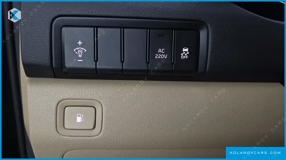 KIA CARNIVAL 9-SEATER NOBLESSE