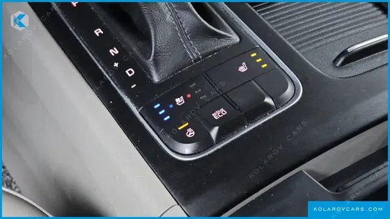 KIA CARNIVAL 9-SEATER LUXURY