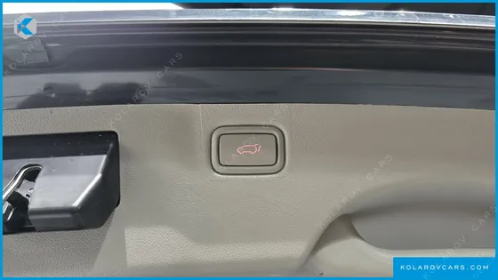 KIA CARNIVAL 9-SEATER NOBLESSE