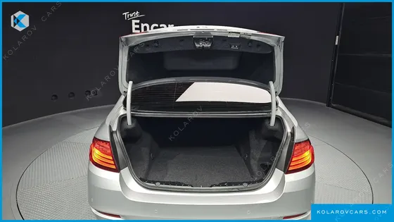 BMW 5 SERIES 520D