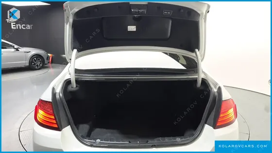 BMW 5 SERIES 520D